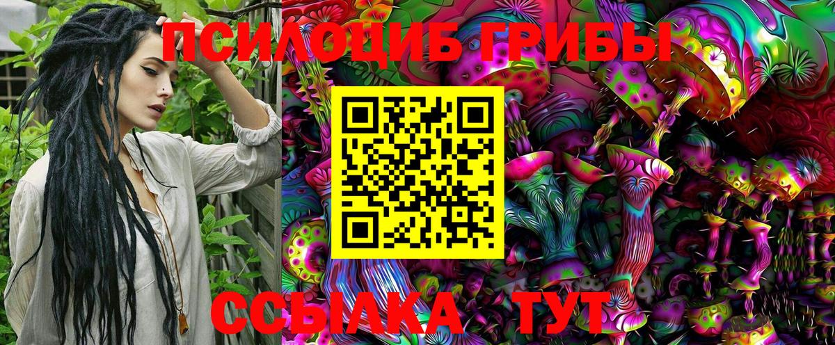 Находка  Псилоцибиновые грибы MAGIC MUSHROOMS  Галлюциногенные грибы прущие грибы  Вход с VPN 